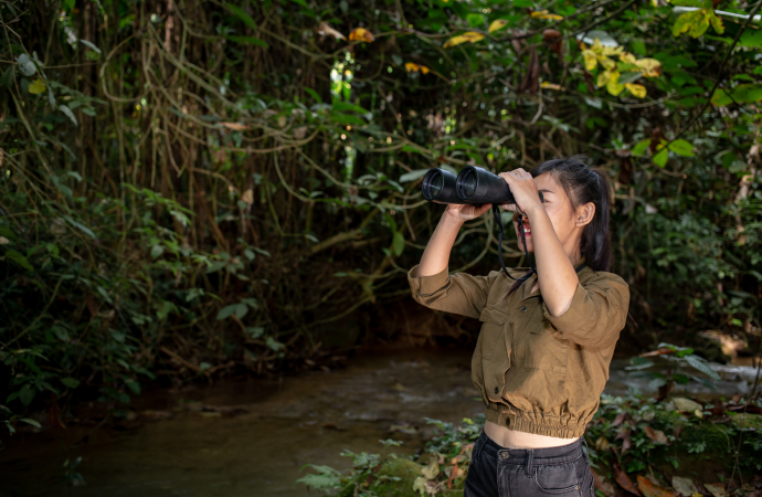 Nature Conservation Day 7: National Parks Offering Jungle Safari
